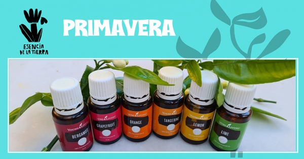Primavera
