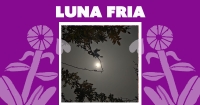 Luna fria